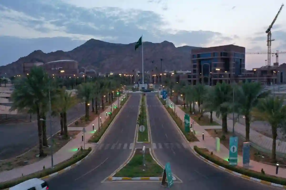 جامعة طيبة تفتح باب التحويل الداخلي والخارجي.