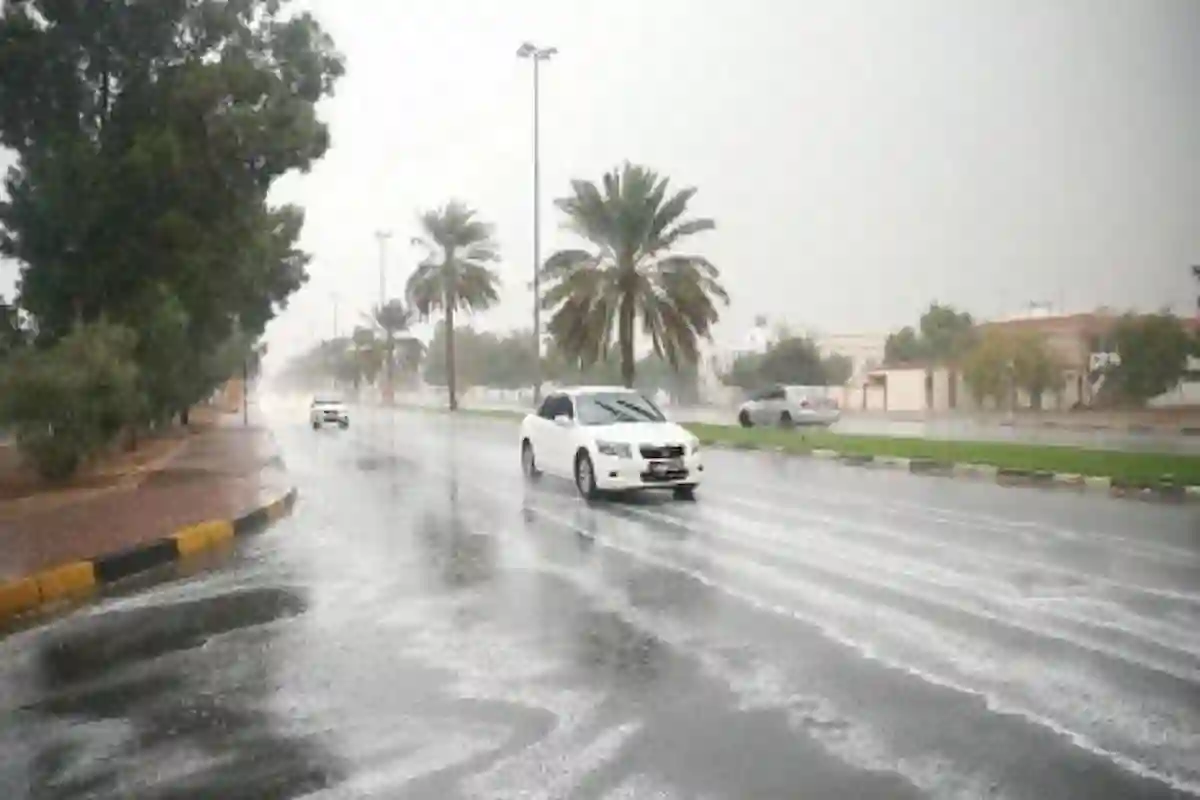 الأرصاد السعودية تحذر من الضباب والأتربة.. الإثنين 2 يونيو