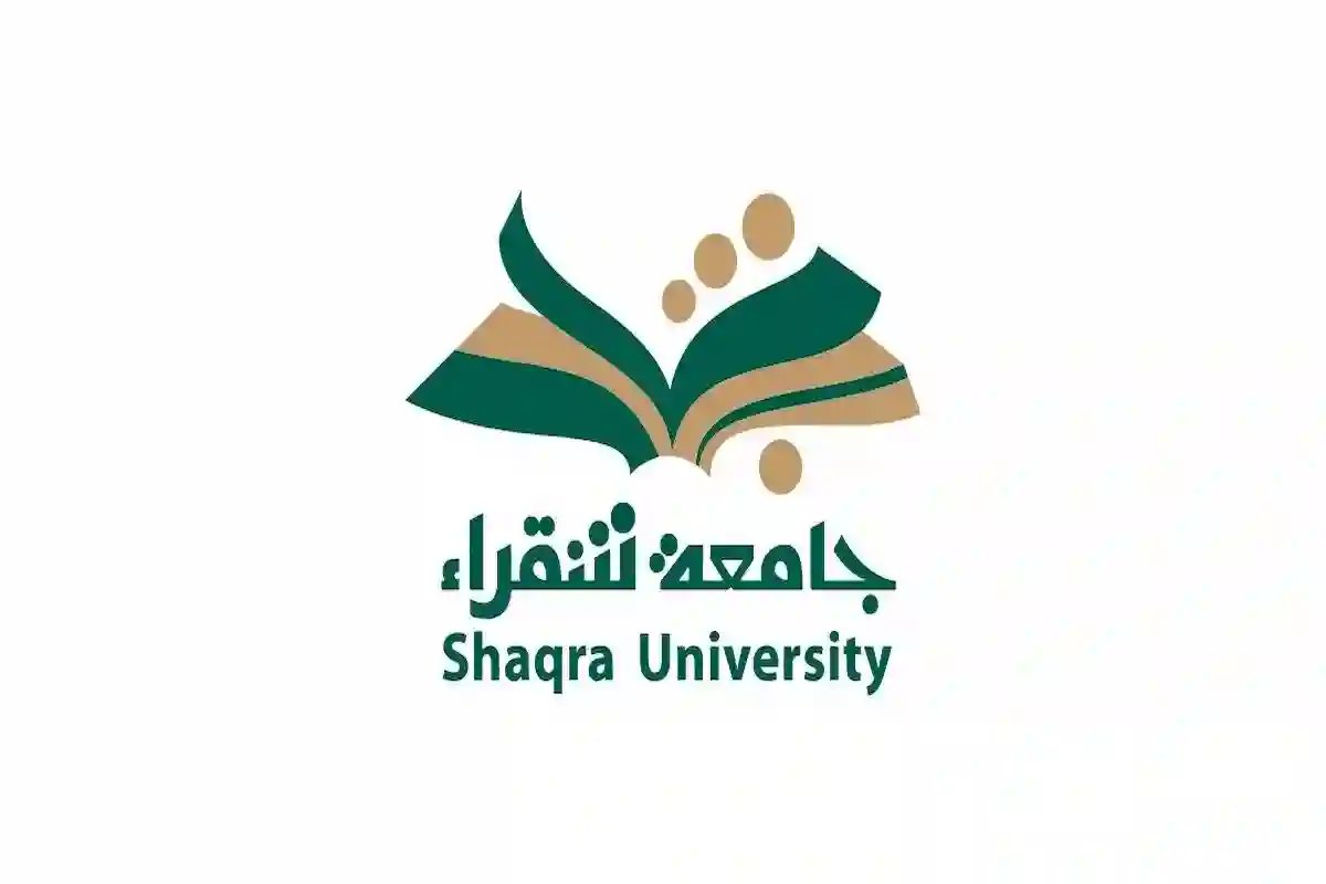كل ما تريد معرفته عن برنامج الأمن السيبراني