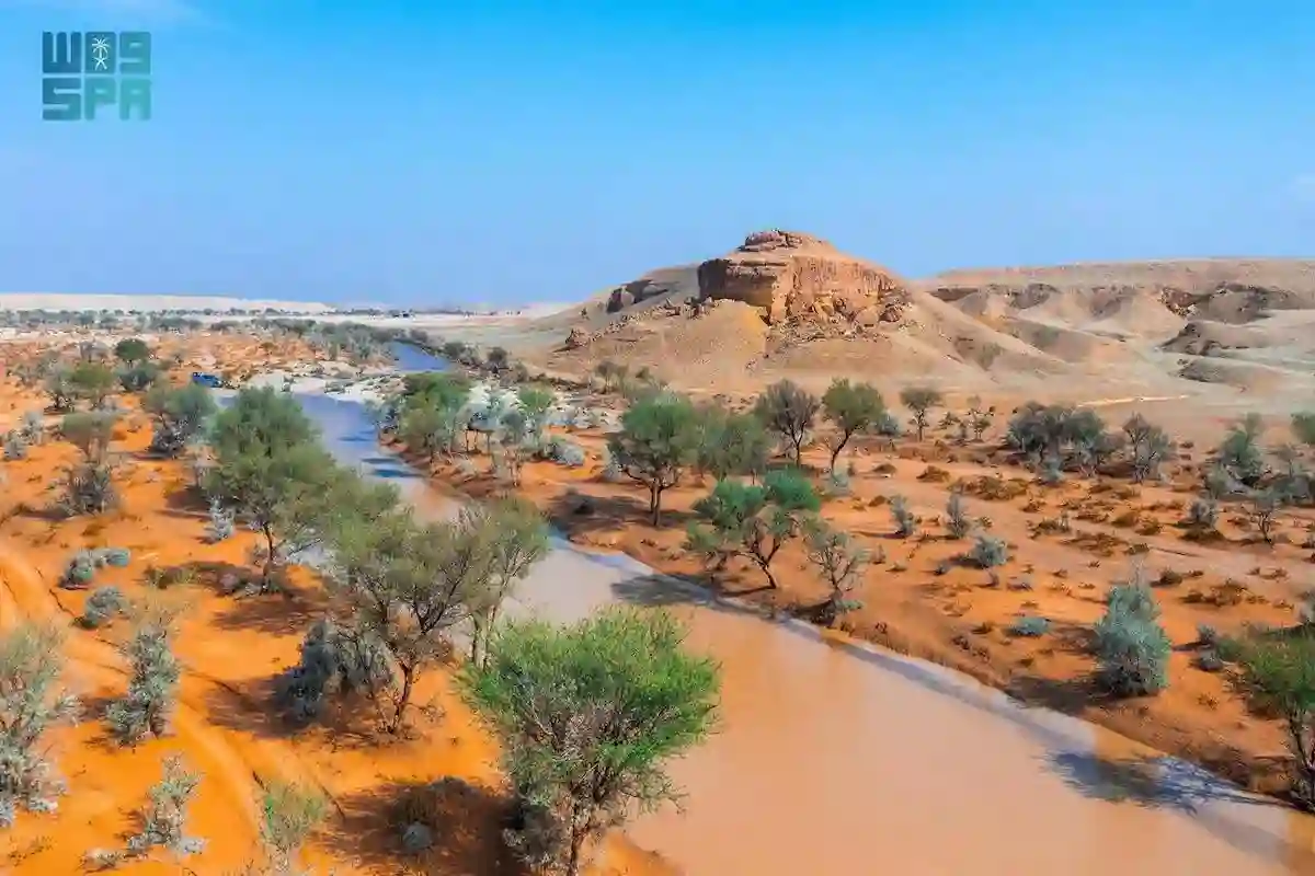محمية الملك عبد العزيز