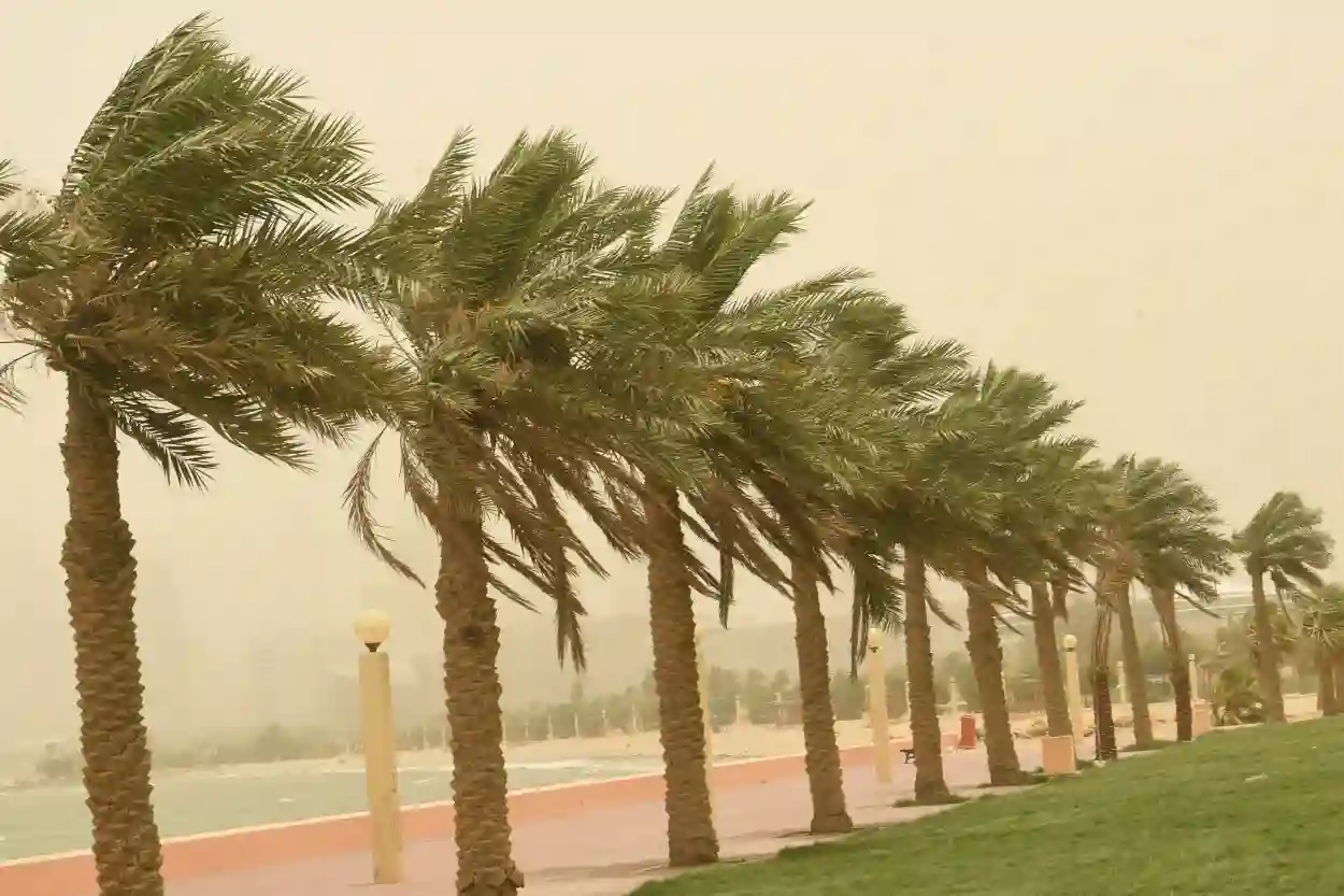 رياح