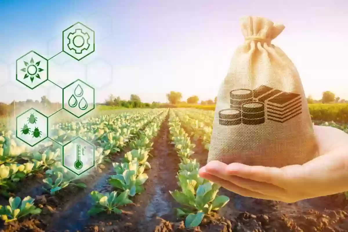 50% إضافي على الأجر.. بشرى سارة لتلك الفئة من العمال في السعودية 