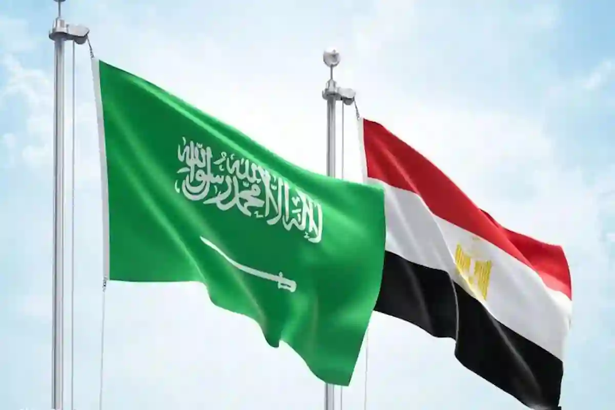  شراكات اقتصادية منتظرة بتوجيه إنشاء صندوق عقاري سعودي – مصري