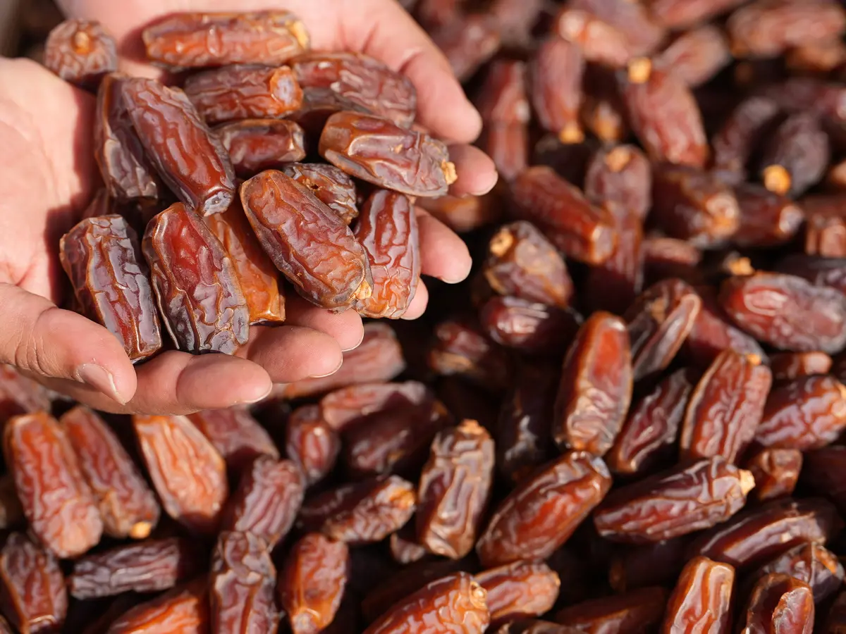 تمور السعودية
