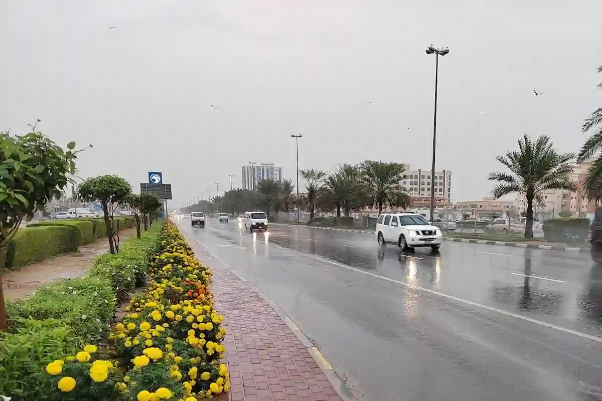 توقعات الأرصاد الجوية لحالة الطقس اليوم الثلاثاء 15 أبريل 2025 في السعودية