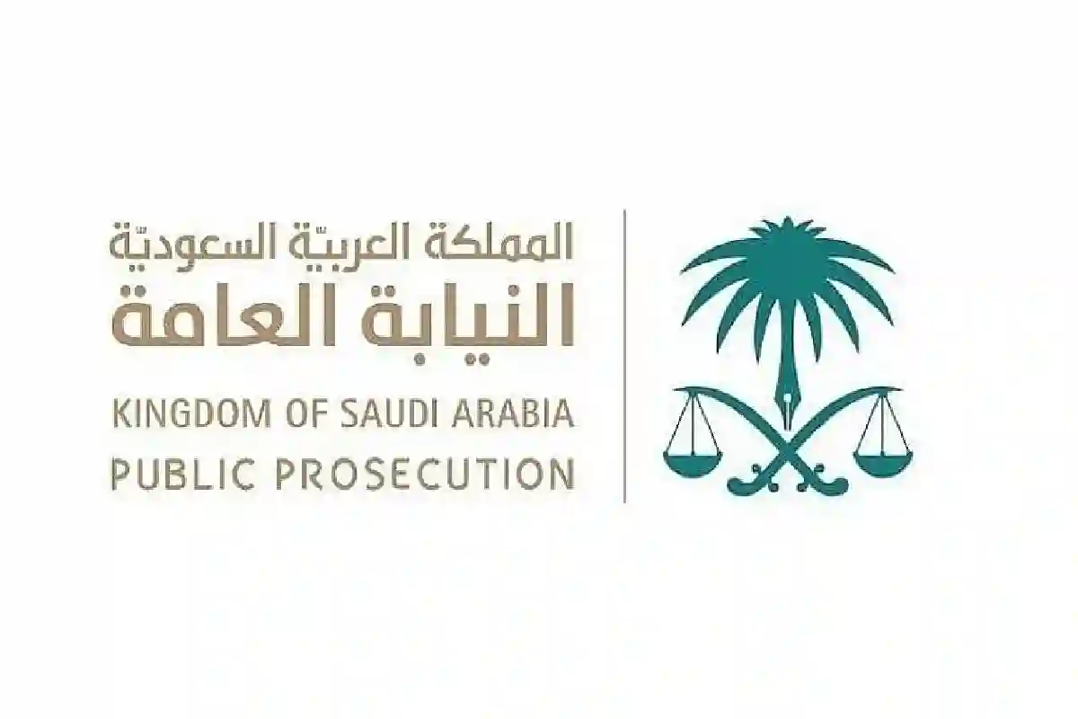 النيابة العامة تكشف مهام نيابة الاحتيال المالي.