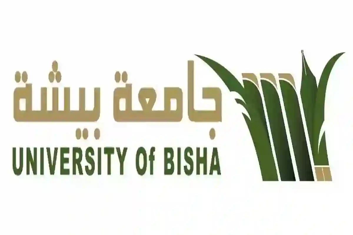 جامعة بيشة تفتح باب التقديم بنظام التعاون للكفاءات العلمية الوطنية