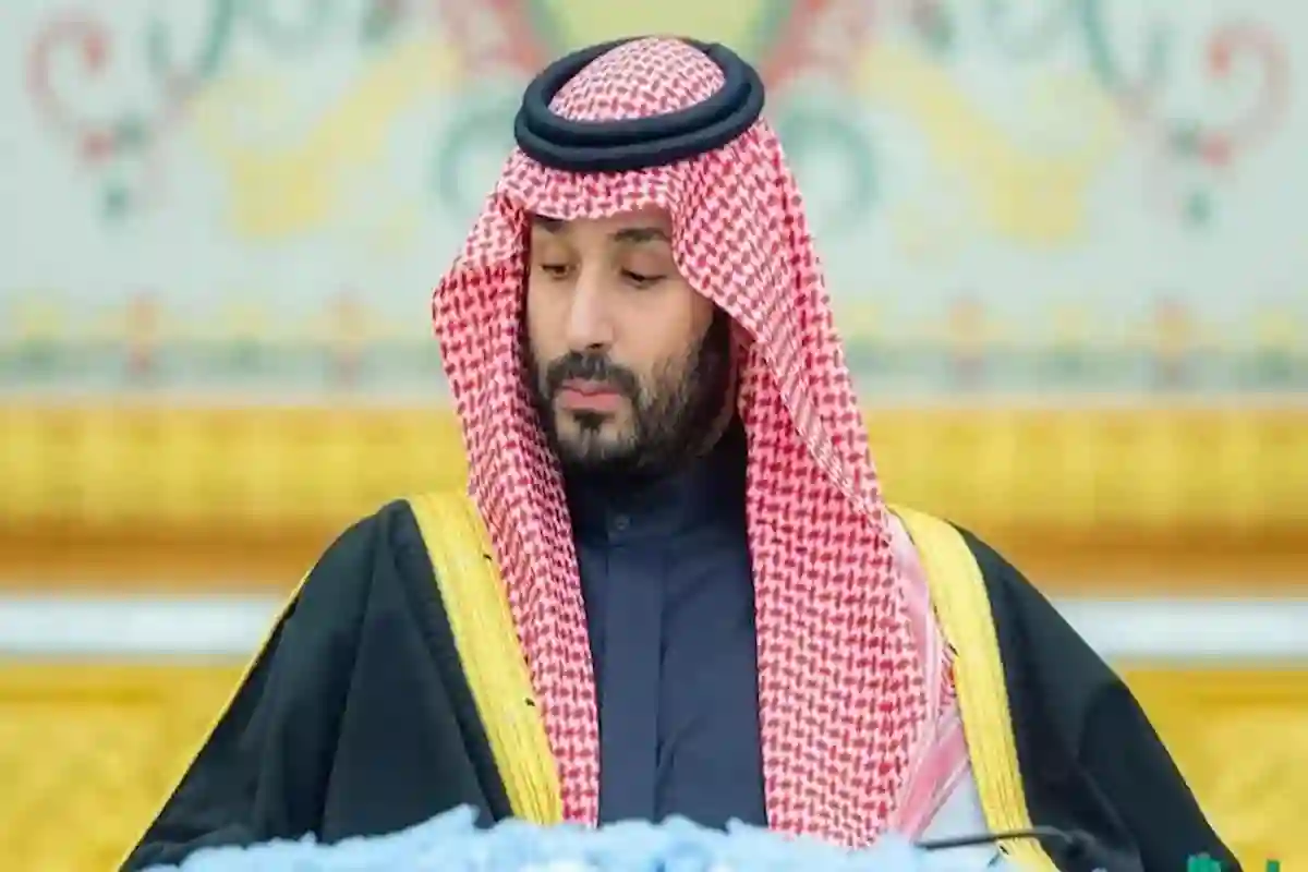 ولي العهد يُوجه بطرح أراضي سكنية للمواطنين بسعر 1500 ريال للمتر كحد أقصى